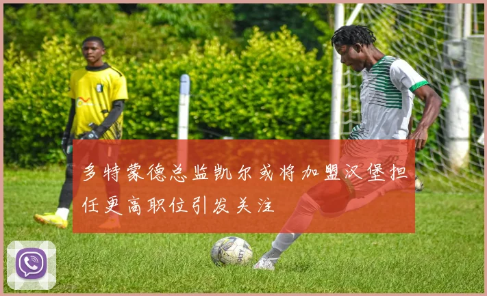 多特蒙德总监凯尔或将加盟汉堡担任更高职位引发关注