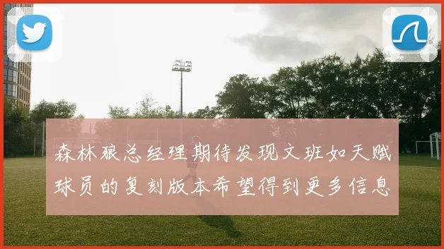 森林狼总经理期待发现文班如天赋球员的复刻版本希望得到更多信息